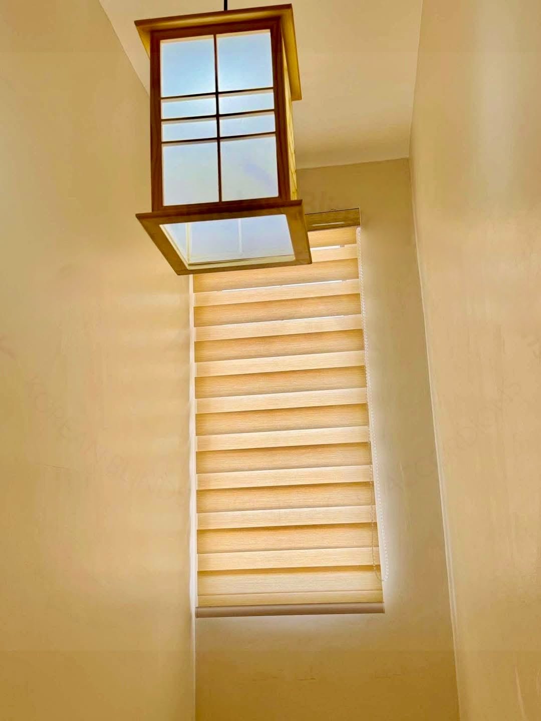 Zebra Blinds